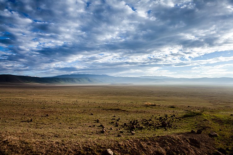 TZA ARU Ngorongoro 2016DEC26 Crater 011